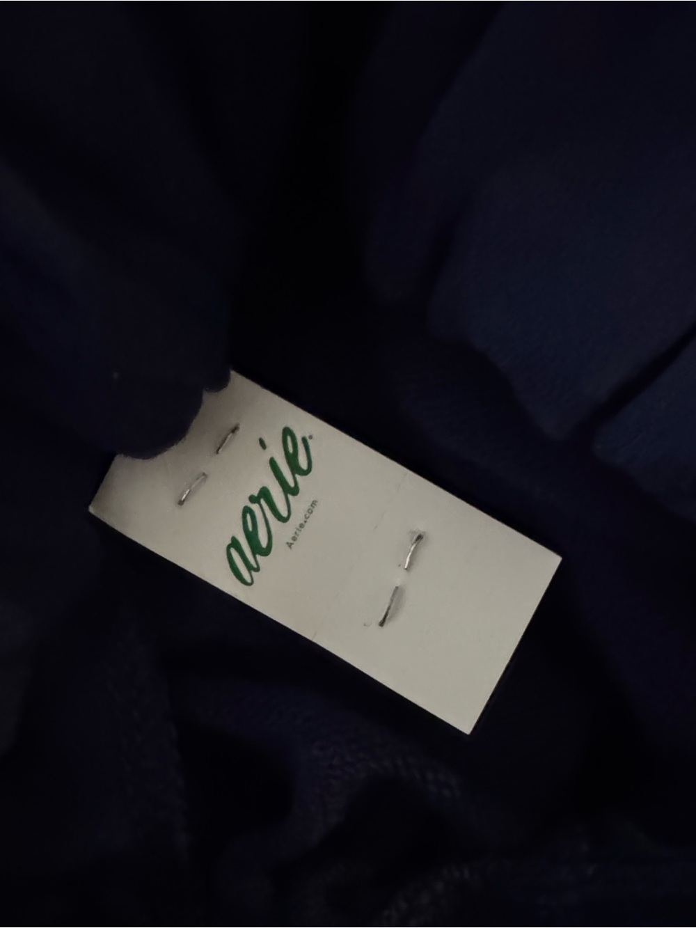 Aerie Jet Setter Joggers in Navy
BIN#27 - Picture 4 of 4